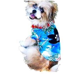 NWOT DOGGY Size Small Hawaiian Shirt
